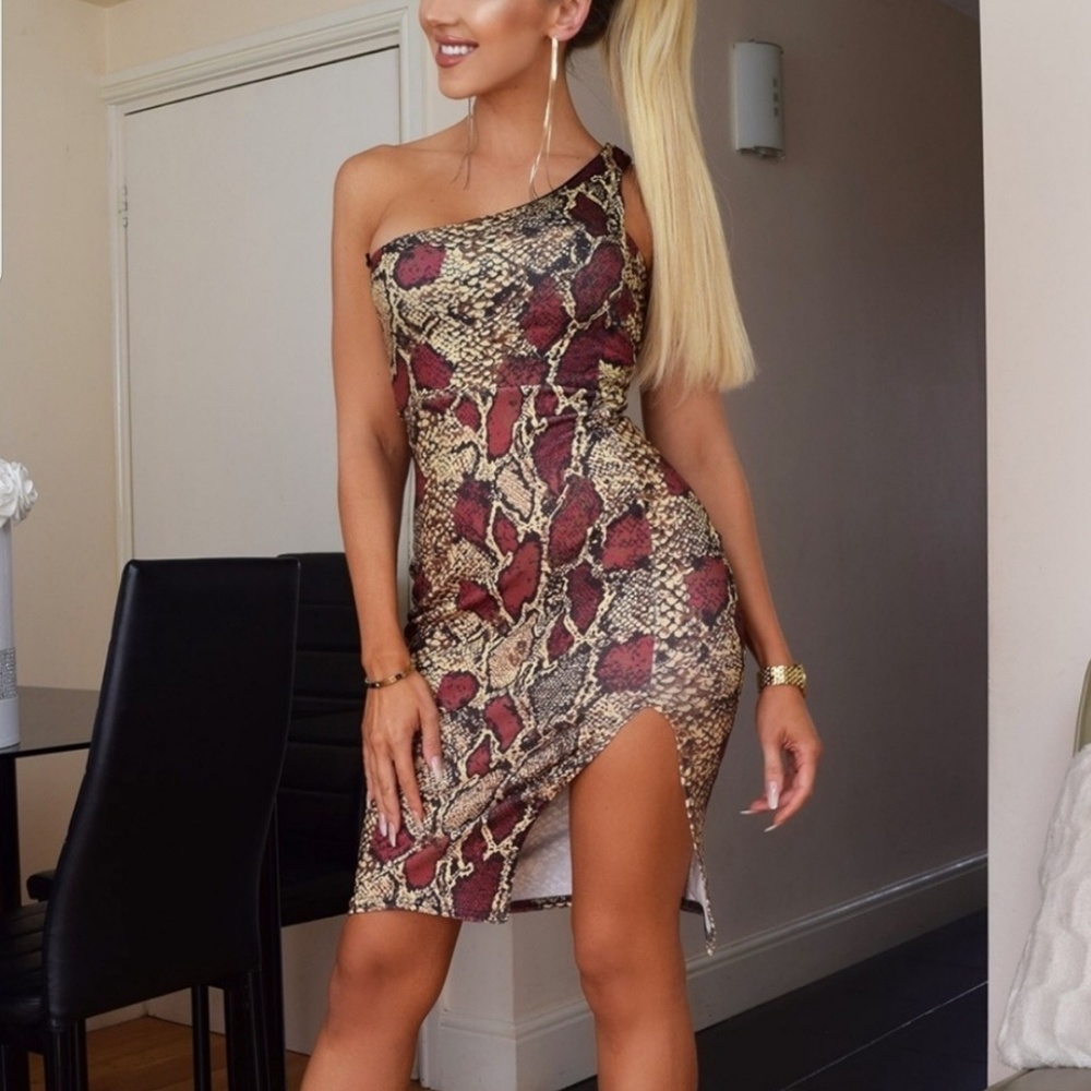 Snakeskin  Print Bodycon dress
